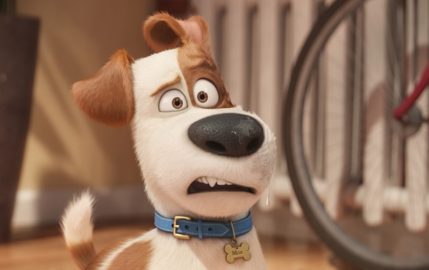 The Secret Life Of Pets Max (click to view)