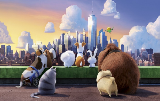 The Secret Life Of Pets Movie (click to view)
