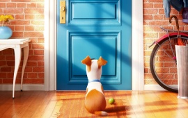 The Secret Life Of Pets Poster