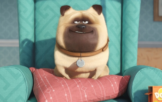 The Secret Life Of Pets Puppy (click to view)