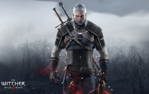 The Witcher 3: Wild Hunt Video Game (click to view)