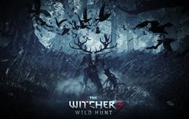 The Witcher 3 Wild Hunt Screenshots