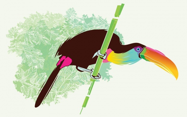 Toucan Bird Vector (click to view)