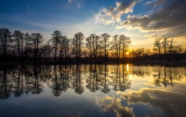 Trees Lake Reflection At Sunset