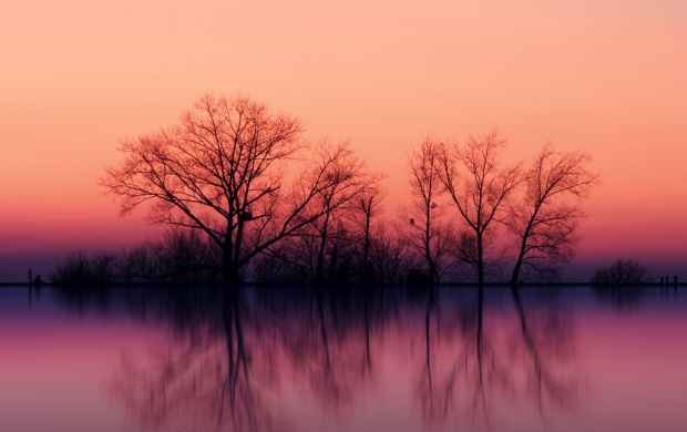 Trees Reflecting into the Lake (click to view)