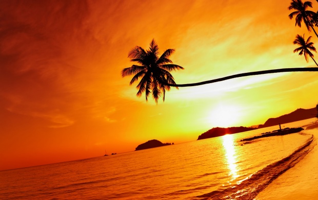 Tropical Beach Resorts Sunset (click to view)