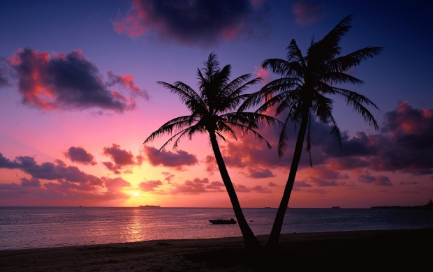 Tropical Beach Sunset (click to view)