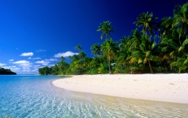 Tropical Beach with White Sand