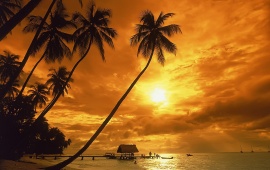 Tropical Sunset
