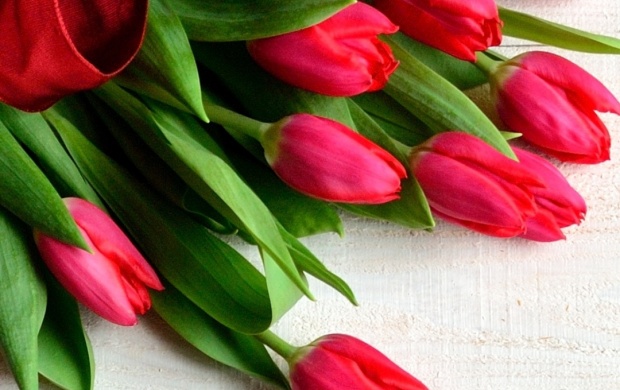 Tulips On Wooden Background (click to view)