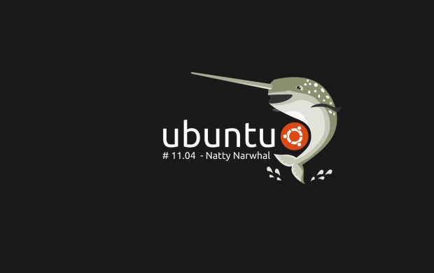 Ubuntu 11.04 Natty