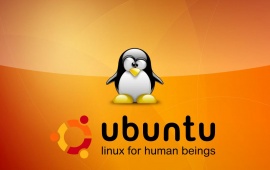 Ubuntu Linux For Human Beings