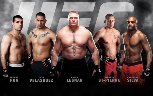 UFC Fighters (click to view)