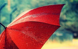 Umbrella Red Water Drops