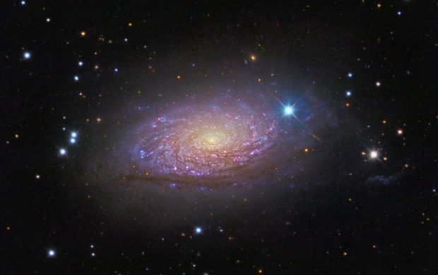 Unbarred Spiral Galaxy