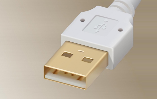 USB (click to view)