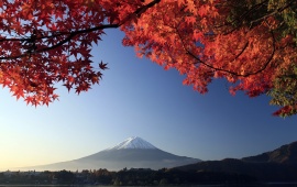 View Of Mount Fuji