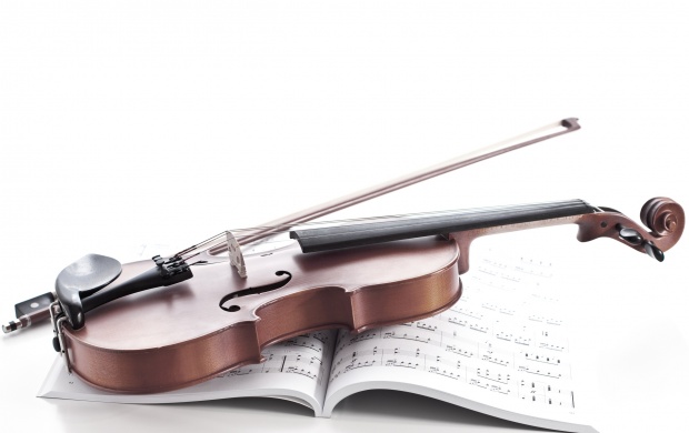Violin And Music Note Book (click to view)