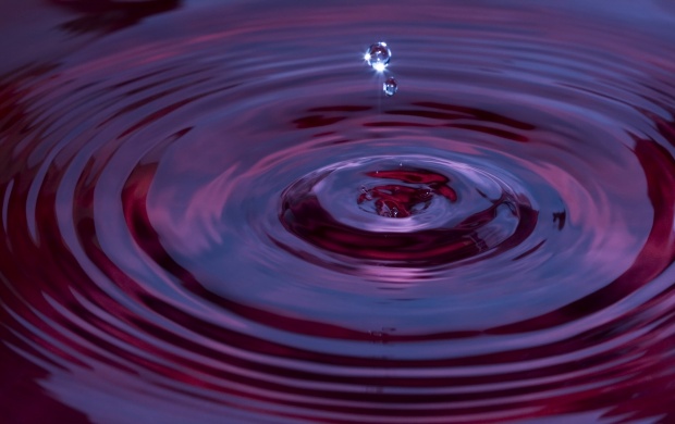 Waterdrop in the purple water