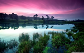 Waterscape With Purple Sky