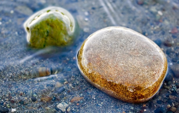 Wet Rocks in Shallow Water (click to view)
