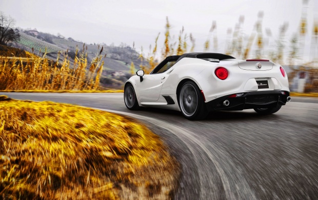 White Alfa Romeo 4C Spider 2015 (click to view)
