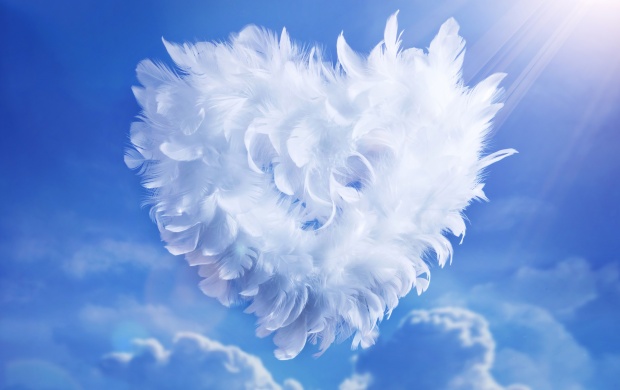 White Feathers Heart