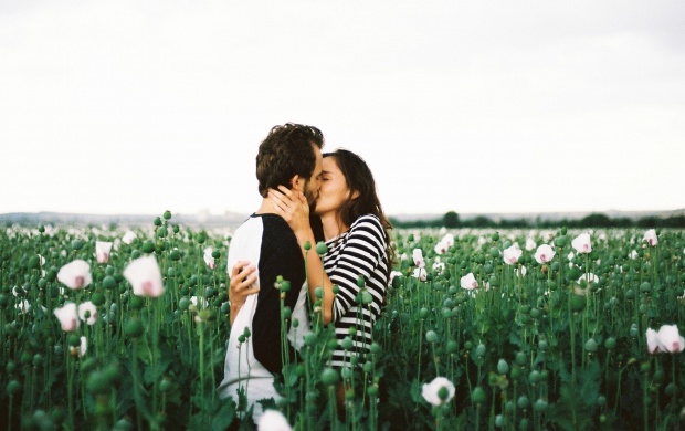 White Poppy Field In Couple Kiss (click to view)