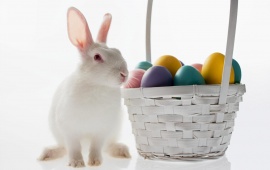White Rabbit And Easter Eggs