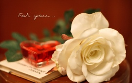 White Rose For You