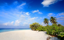 White Sand Beach on an Island
