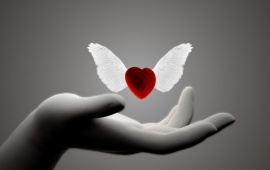 Wings Hands Of Love