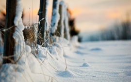 Winter Evening Snow Fence