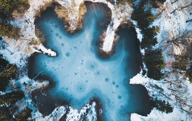 Winter Forest Lake Seen from Above
