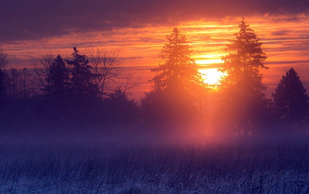 Winter Misty Sunset Landscape (click to view)