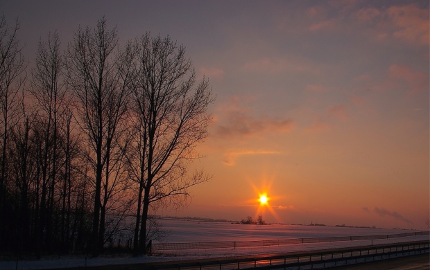 Winter Snow Orange Evening (click to view)