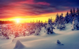 Winter Snow Sunset Landscape