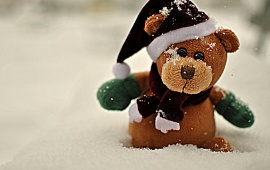 Winter Teddy Bear In Snow