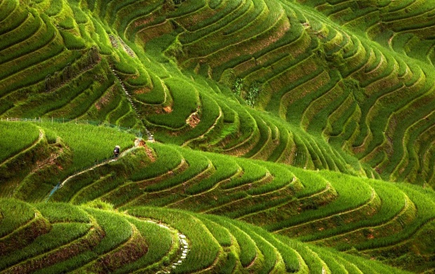 Wonderful Green Landscape (click to view)