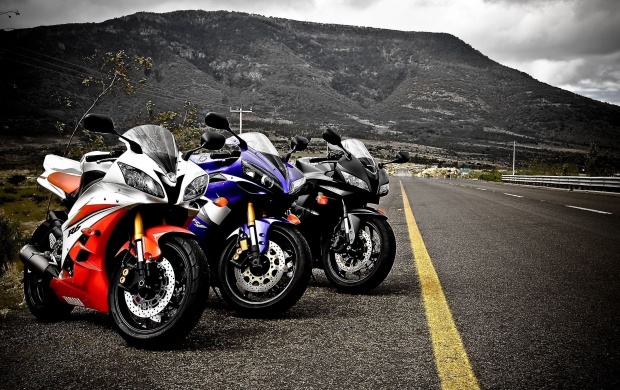 Yamaha Superbikes (click to view)
