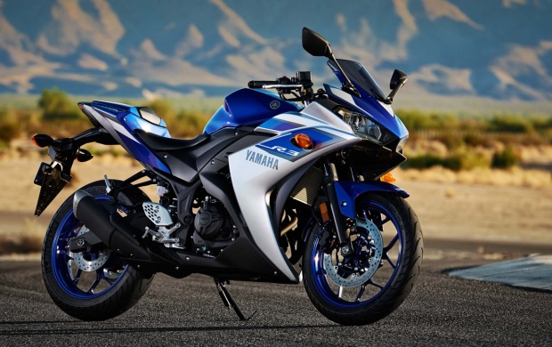 Yamaha YZF-R3 2015 (click to view)