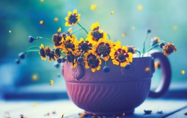 Yellow Flowers In Cup