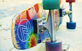 Z-Flex Skateboarding