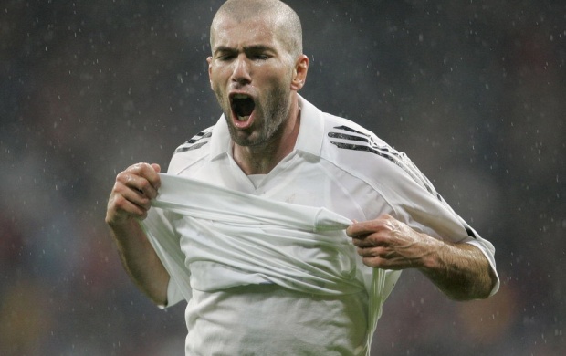 Zinedine Zidane (click to view)
