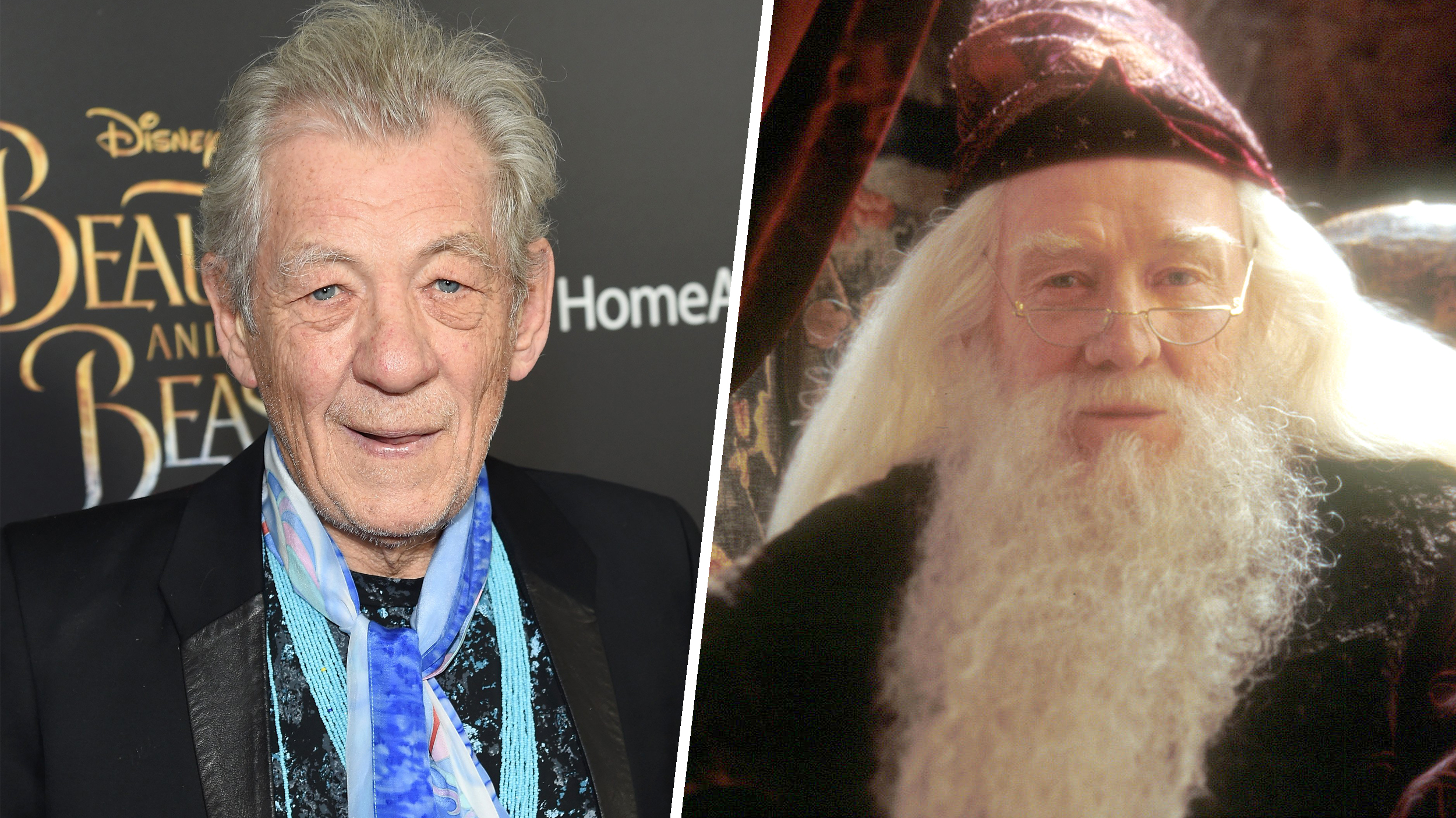 heres Why Ian Mckellen Turned Down A Role In The Harry Potter Movies