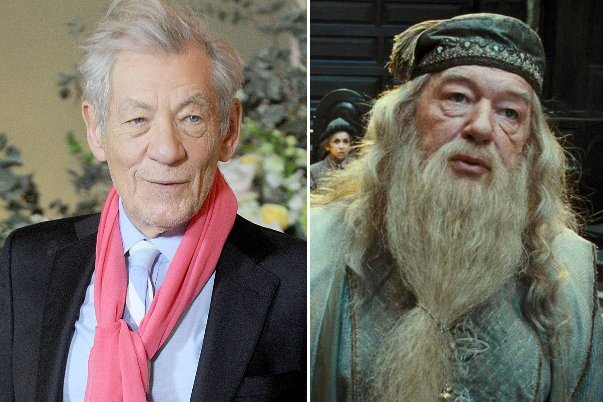 why Ian Mckellen Turned Down Harry Potter Role Page Six