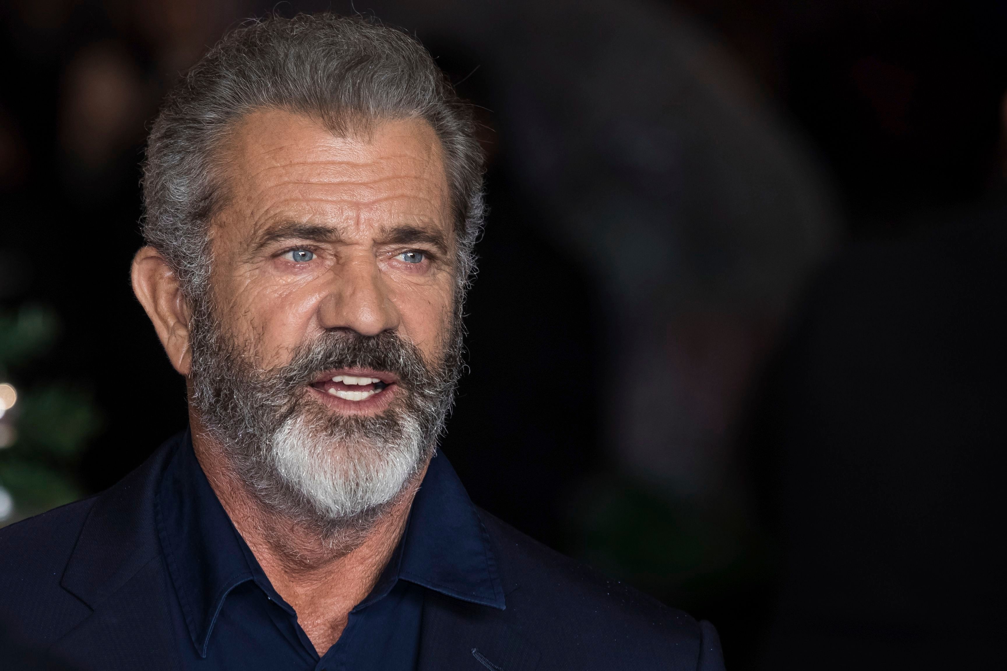mel Gibson On The Professor The Madman Disappointment” – Deadline