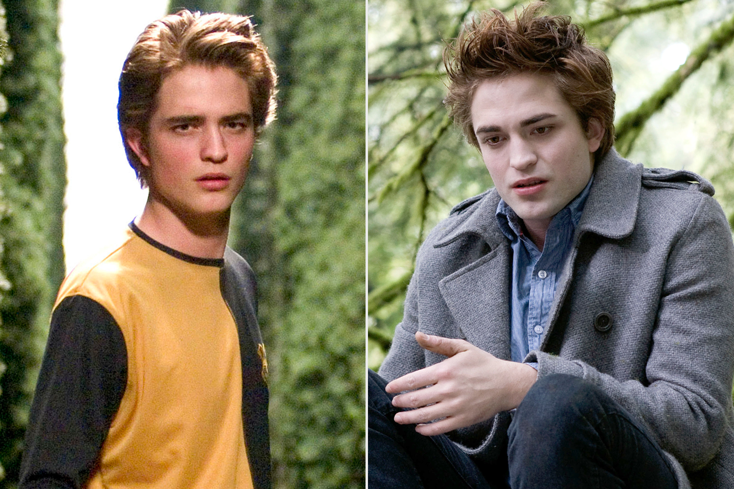robert Pattinson Shares Connection Between Harry Potter Twilight Roles  Peoplecom