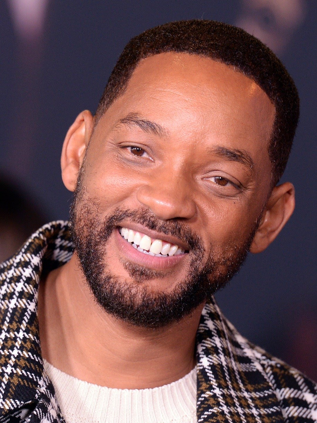 will Smith Sony Pictures Entertaiment Wiki Fandom