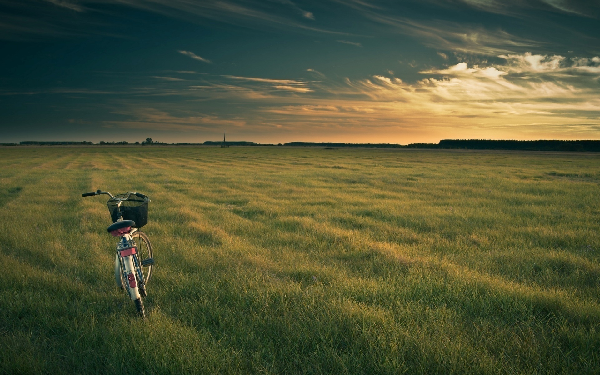 A Bicycle on an Empty Green Field